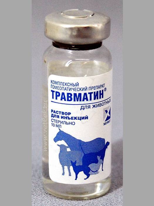 Травматин (раствор для инъекций) для кошек и собак | отзывы о применении препаратов для животных от ветеринаров и заводчиков