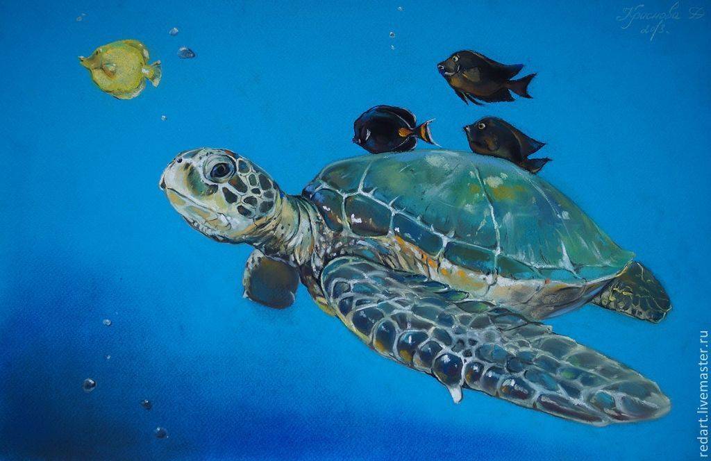 К чему снится черепаха в воде: значение и толкование сна