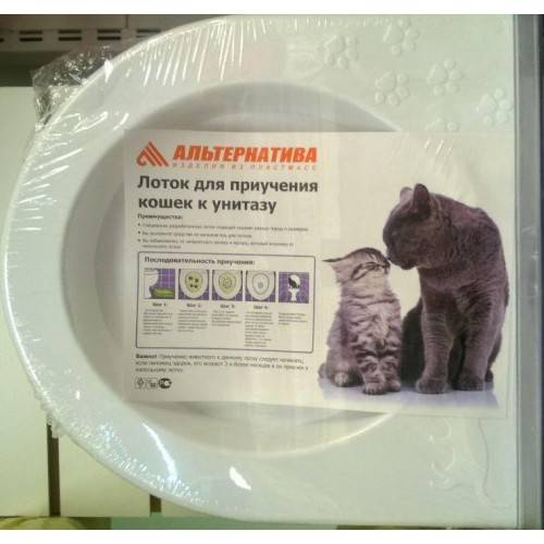 Инструкция по приучению кота к унитазу вместо лотка