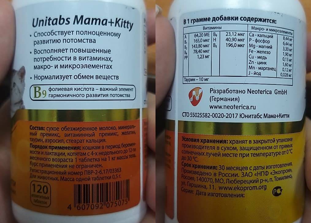 Рейтинг витаминов для кошек: 12 лучших производителей