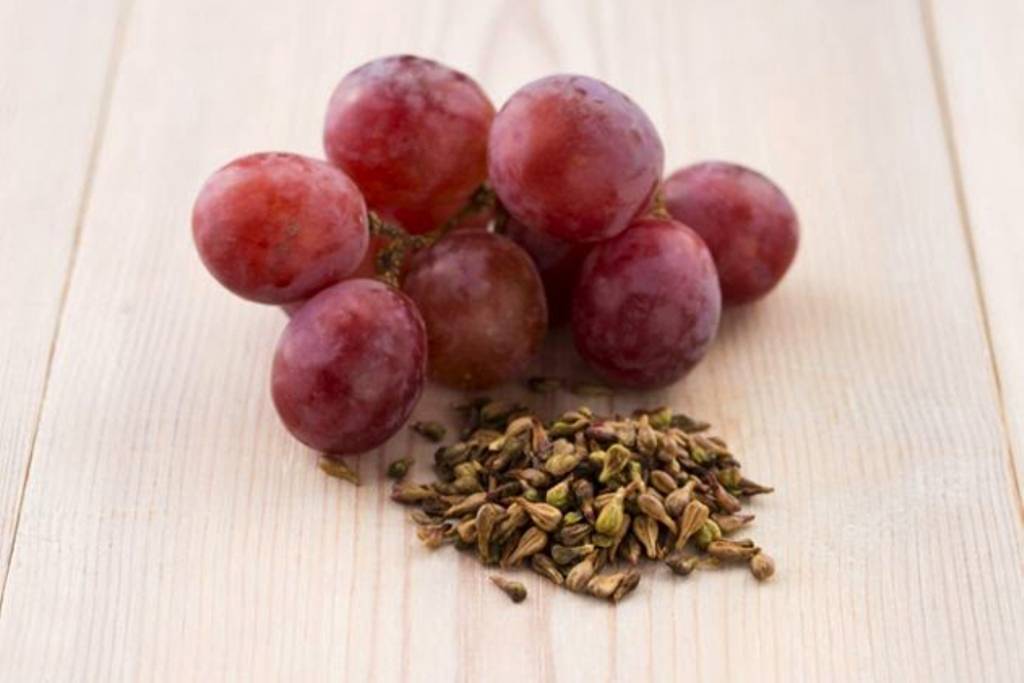 Можно или нельзя есть виноград с косточками — польза и вред для здоровья