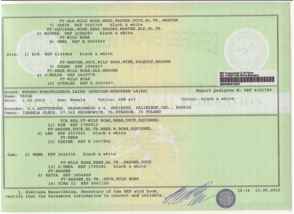 Как получить документы на собаку в ркф— паспорт, родословная, акт вязки и другие