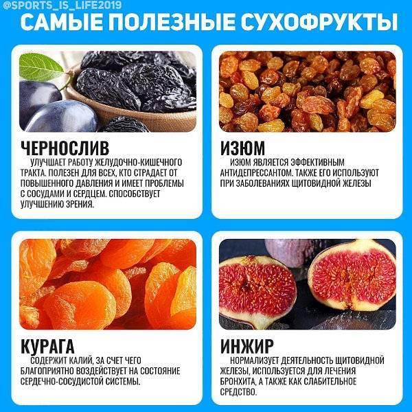 Какие фрукты можно хомякам
