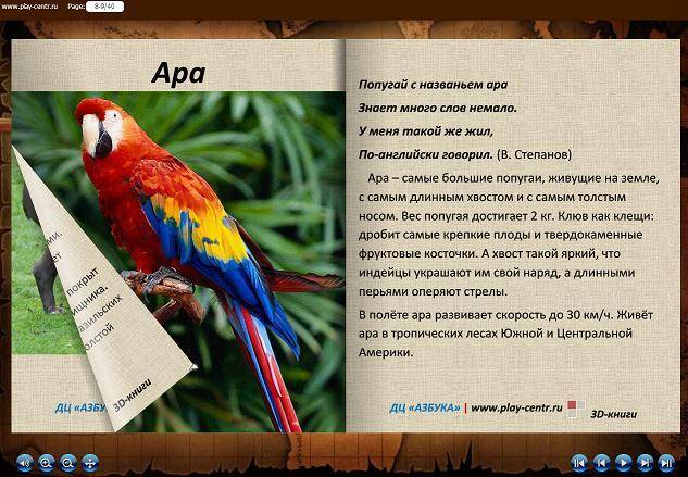 (новое исследование) сколько стоит попугай ара и как формируется цена, стоимость в россии и украине