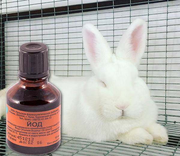Как использовать йод для кроликов от паразитов