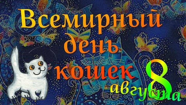 День кошек в россии: полосатый и хвостатый праздник