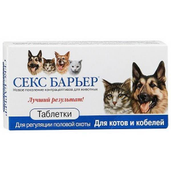 Стерилизация кошек уколами, таблетками или имплантами