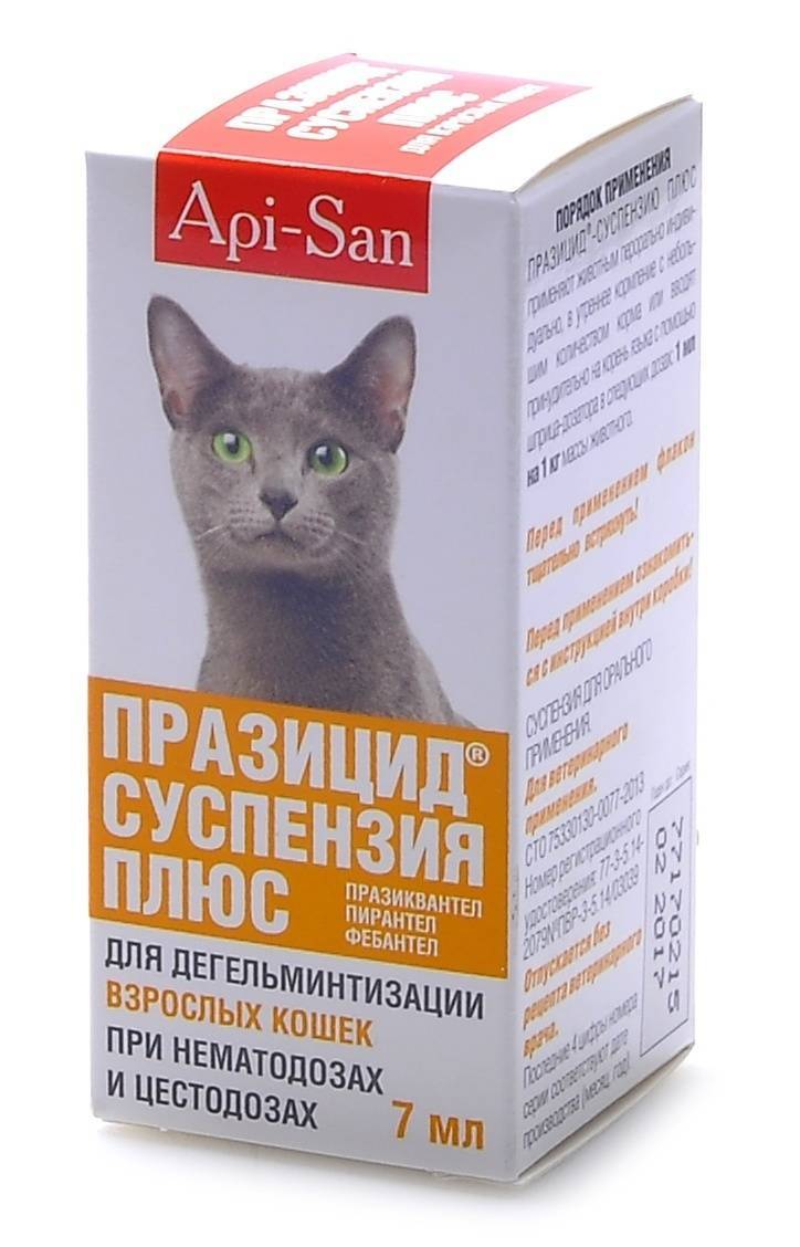 Как выбрать препарат от глистов для кошки