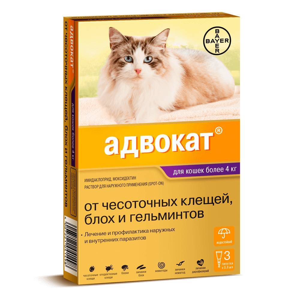 Капли адвокат для кошек: инструкция по применению, отзывы, аналоги