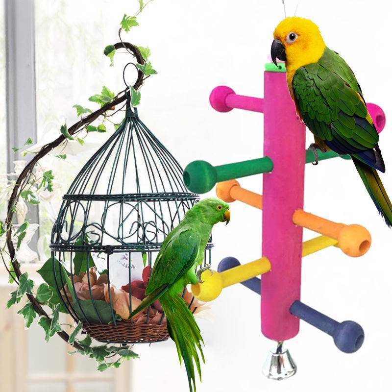 Игрушки для попугаев (22 фото): какие игрушки любят крупные и маленькие попугаи? выбор фуражных игрушек в клетку