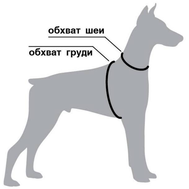 Шлейка для собак крупных пород для таскания своими руками