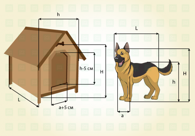 Будка для собаки своими руками: чертежи с размерами