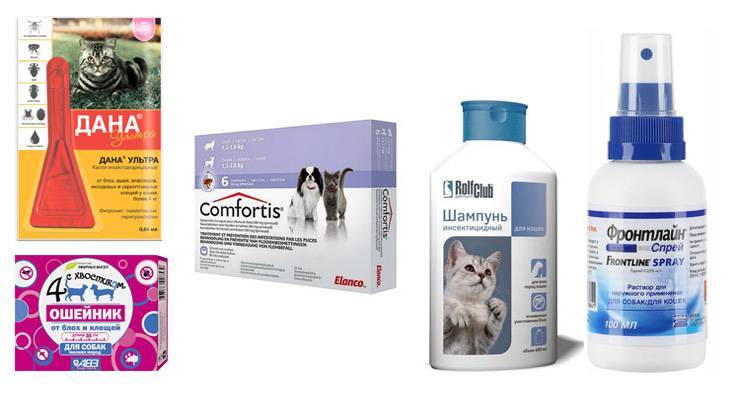 Таблетки от блох для кошек: особенности использования, обзор препаратов и отзывы