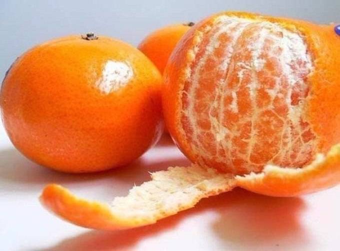 Можно ли хомякам мандарины, апельсины, лимоны