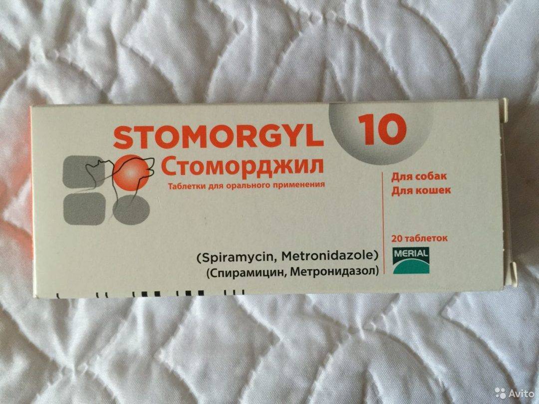Стоморджил / stomorgyl (таблетки) для кошек и собак | отзывы о применении препаратов для животных от ветеринаров и заводчиков