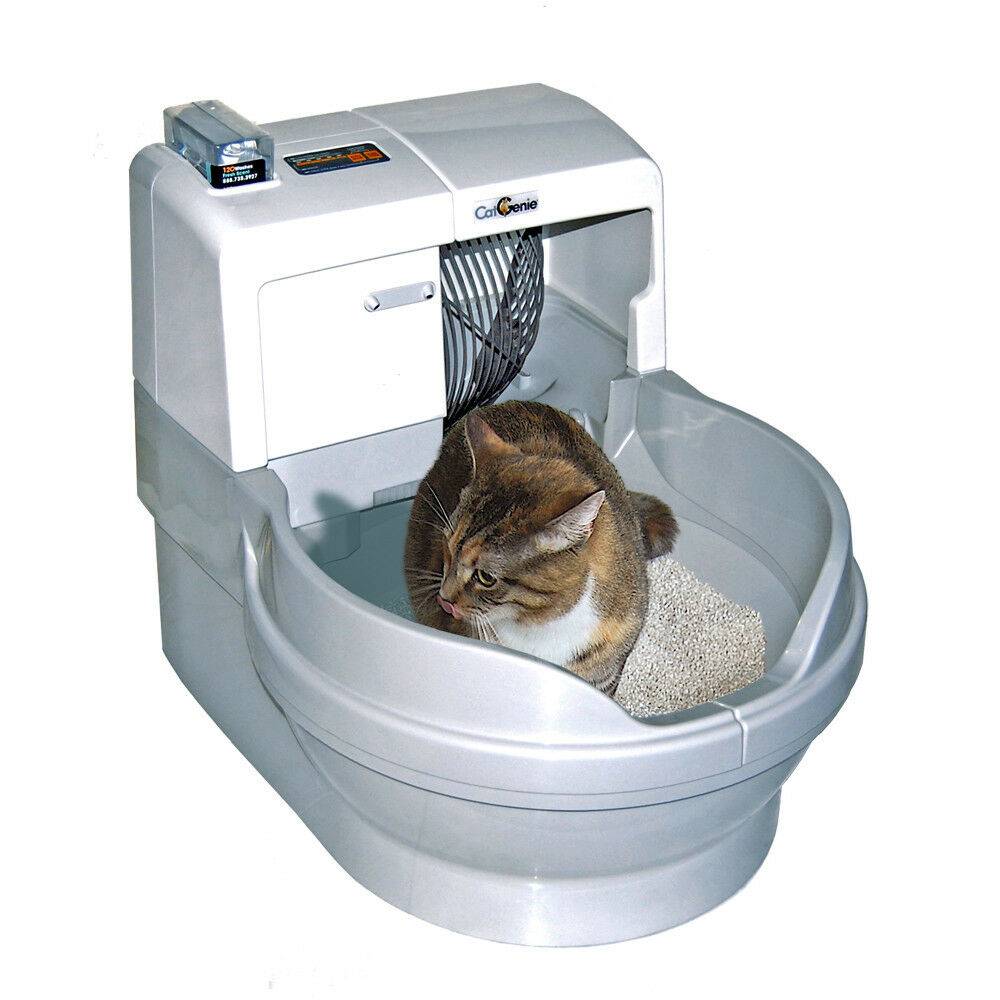 Рейтинг лучших 6 автоматических туалетов для кошек, подробный обзор характеристик и видео обзор об использовании устройств, критерии, которые нужно учесть при выборе