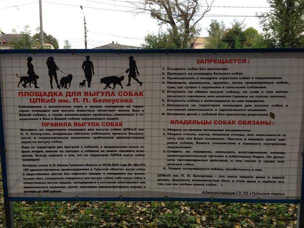 Закон о выгуле собак: правила и ответственность хозяев, актуальные юридические нормы
 | 7hands