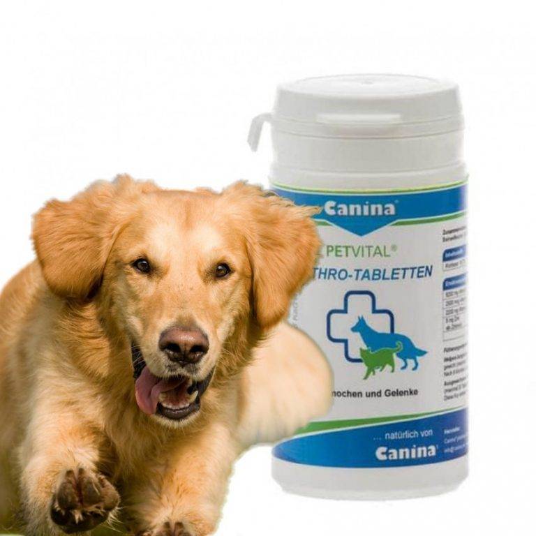 Купить canina собак. Витамины Canina для щенков. Canina для суставов собак. Витамины для собак для суставов Canina. Канин витамины для суставов собак.