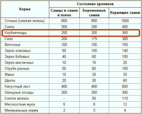 Можно давать кроликам картошку. Какими кормами можно кормить кроликов. Какое зерно можно давать кроликам. Какие корма можно кроликам. Рацион кроликов.