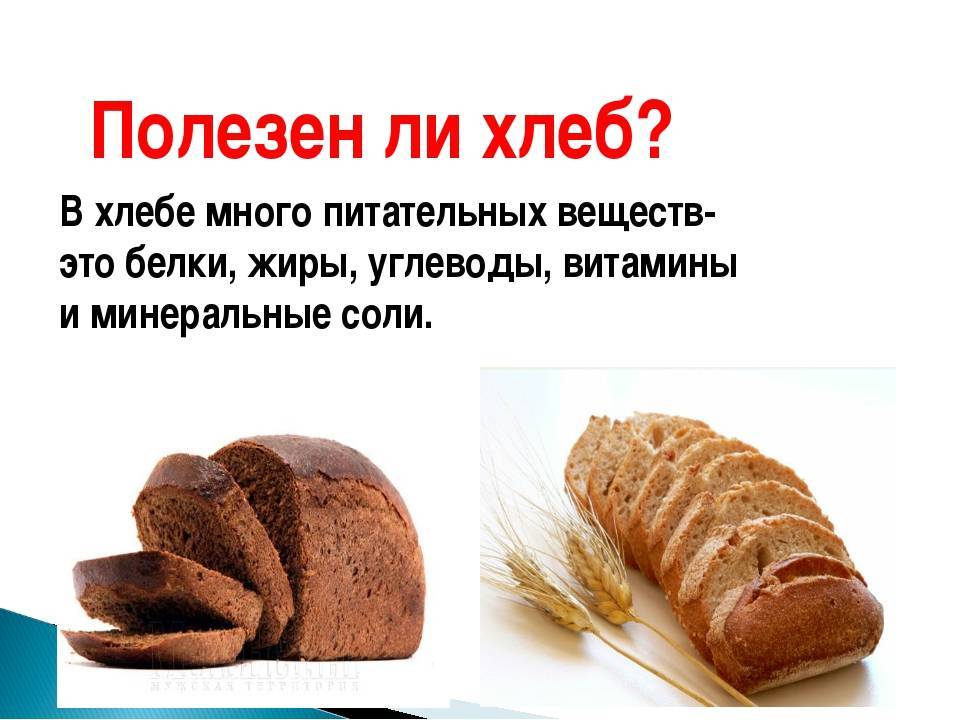 Хлеб для хомяка — лакомство, или яд?