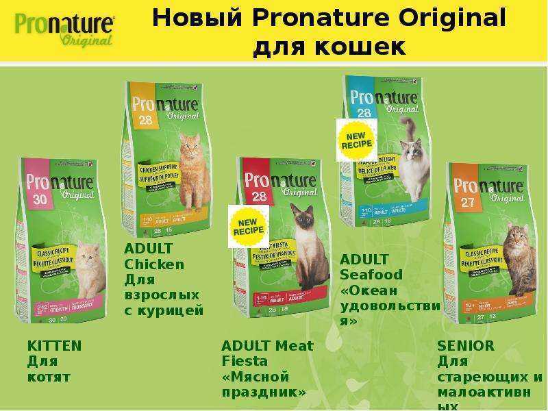 Пронатюр холистик (pronature holistic) корм для кошек: состав и его виды, преимущества и недостатки