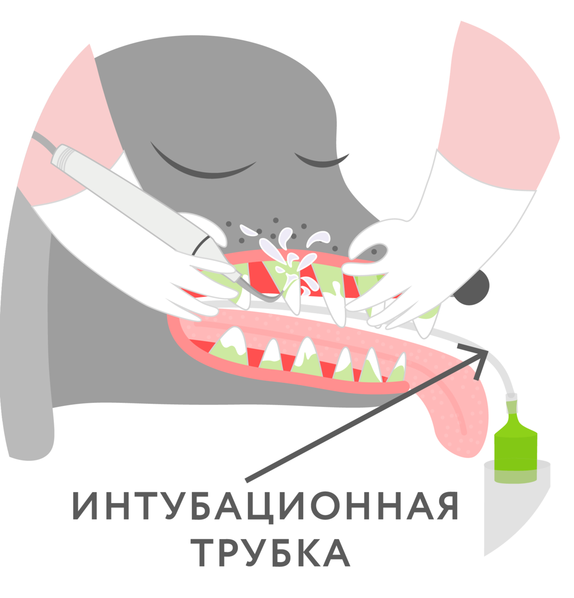Лучшие ультразвуковые зубные щетки - энциклопедия ochkov.net