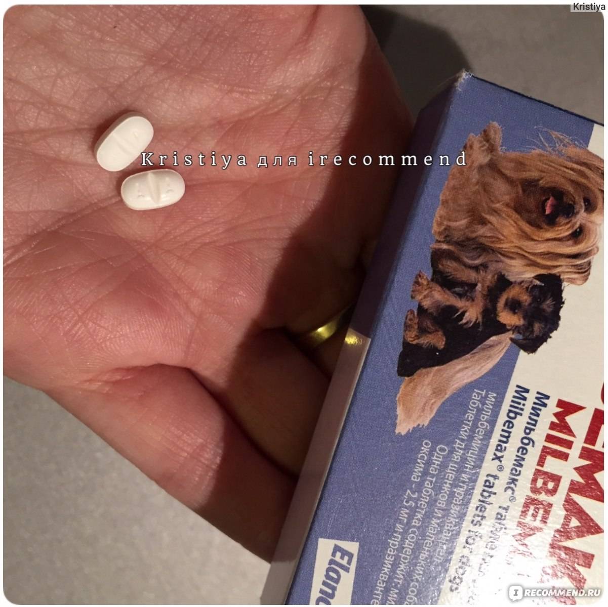 Глисты собака препарат таблетка