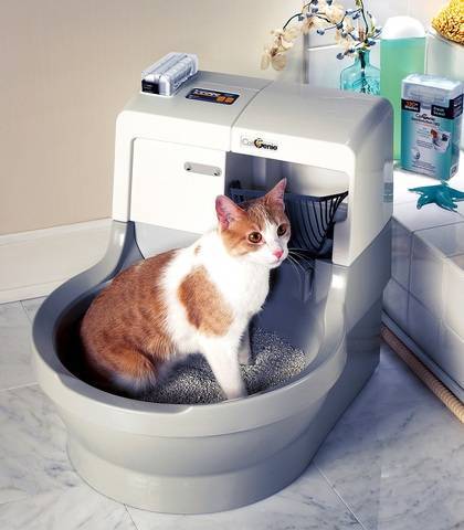Туалет для кошек самоочищающийся: достоинства и недостатки автоматического кошачьего лотка