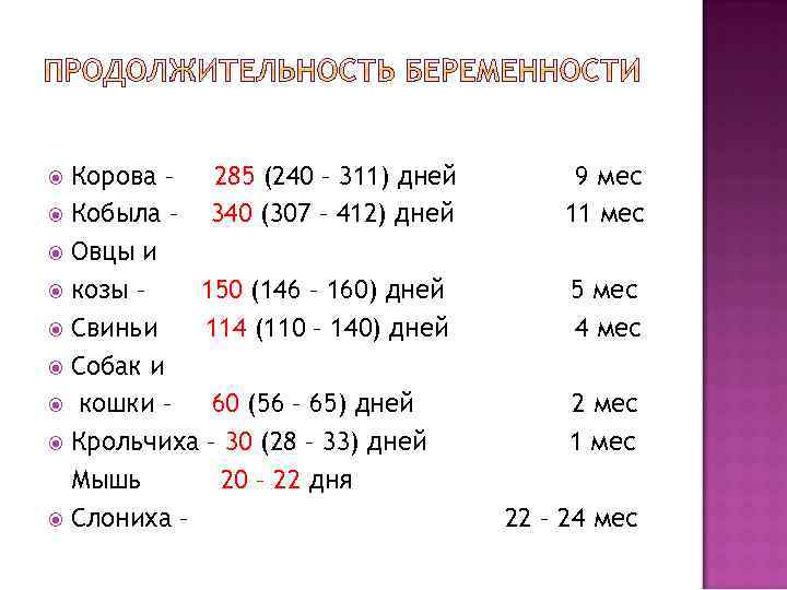 Сколько спят собаки в сутки, а также месячные щенки