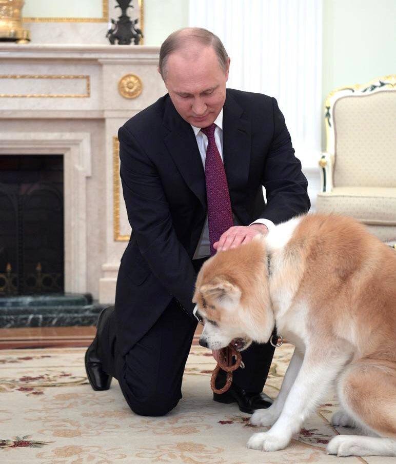 Собака Путина: как зовут и какая порода