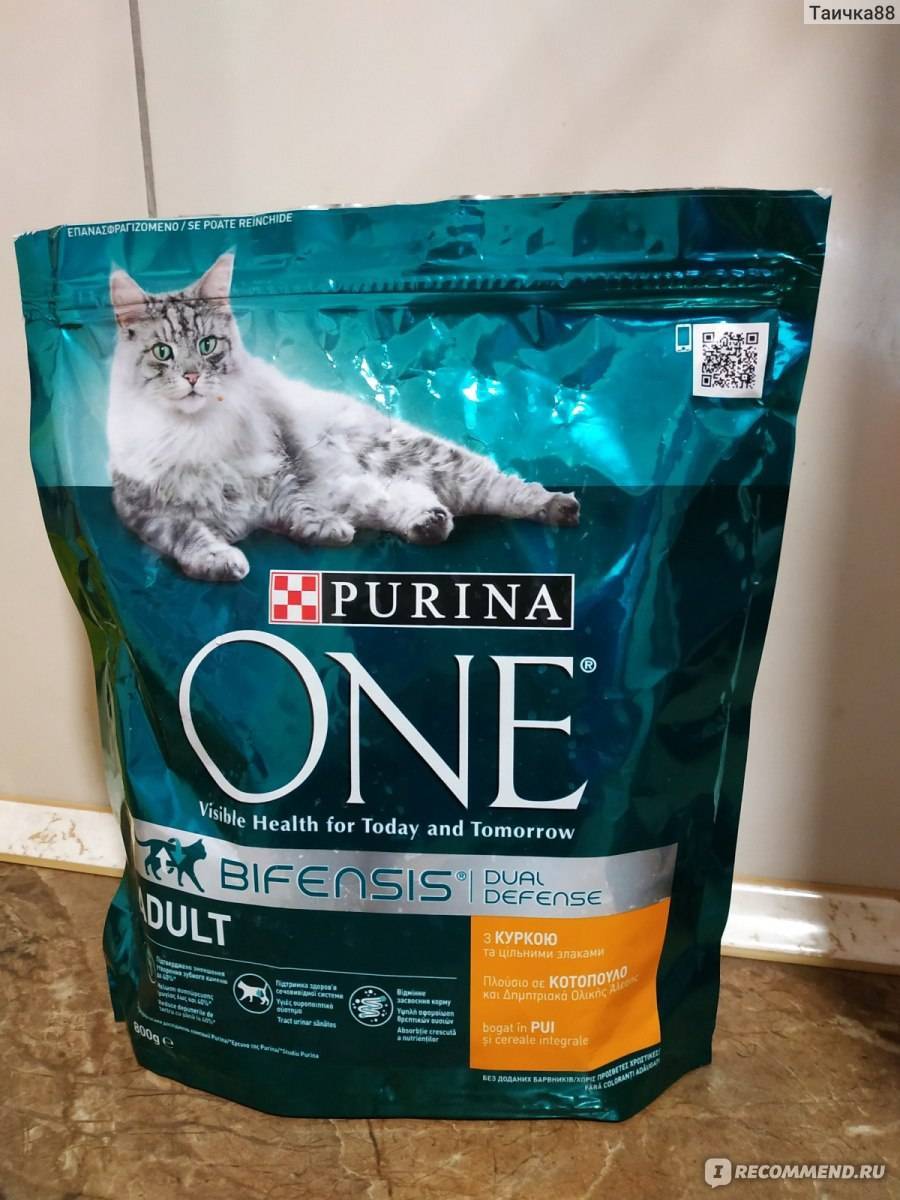 Пурина ван для кошек — обзор корма, отзыв ветеринара на состав
