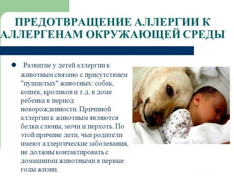 Поллиноз: симптомы, диагностика, причины, лечение