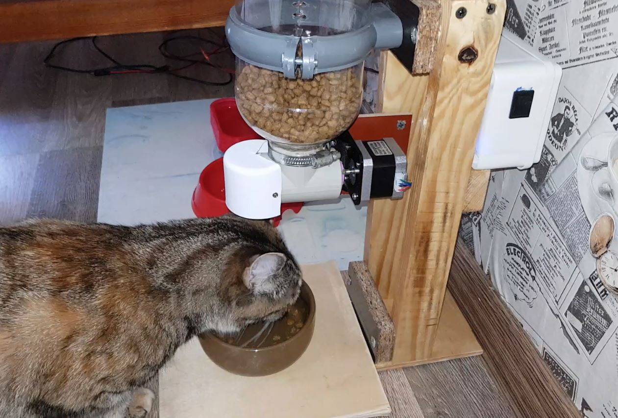Самодельный кот. Автоматическая кормушка для кошек на ардуино. Автоматическая кормушка для собак ардуино. Кормушка для кота на ардуино. Автоматическая кормушка для кошек на esp32.
