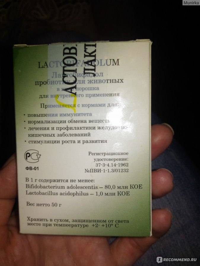 «лактобифадол» для домашних животных: от чего помогает, как давать