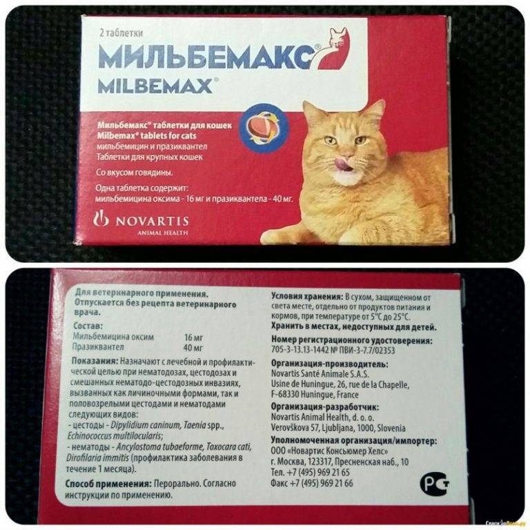 Мильбемакс от глистов для кошек и собак: инструкция по применению, стоимость, отзывы