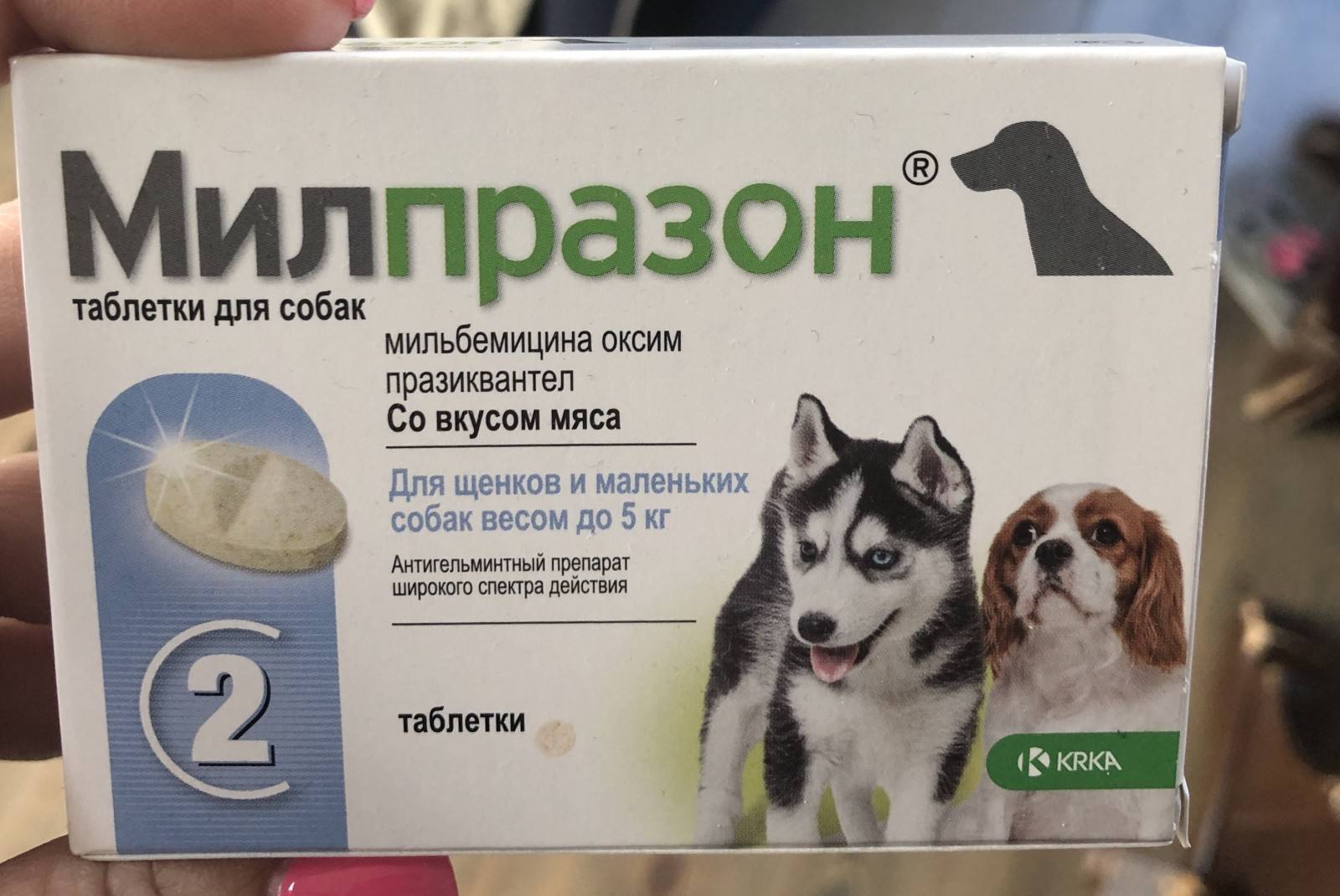 Милпразон для собак: инструкция по применению, дозировка и противопоказания, аналоги лекарства