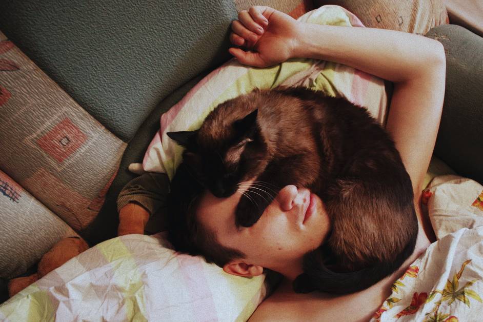 Почему кошка ложится на человека: на грудь, в ноги, возле головы – мистическое объяснение и реальные причины