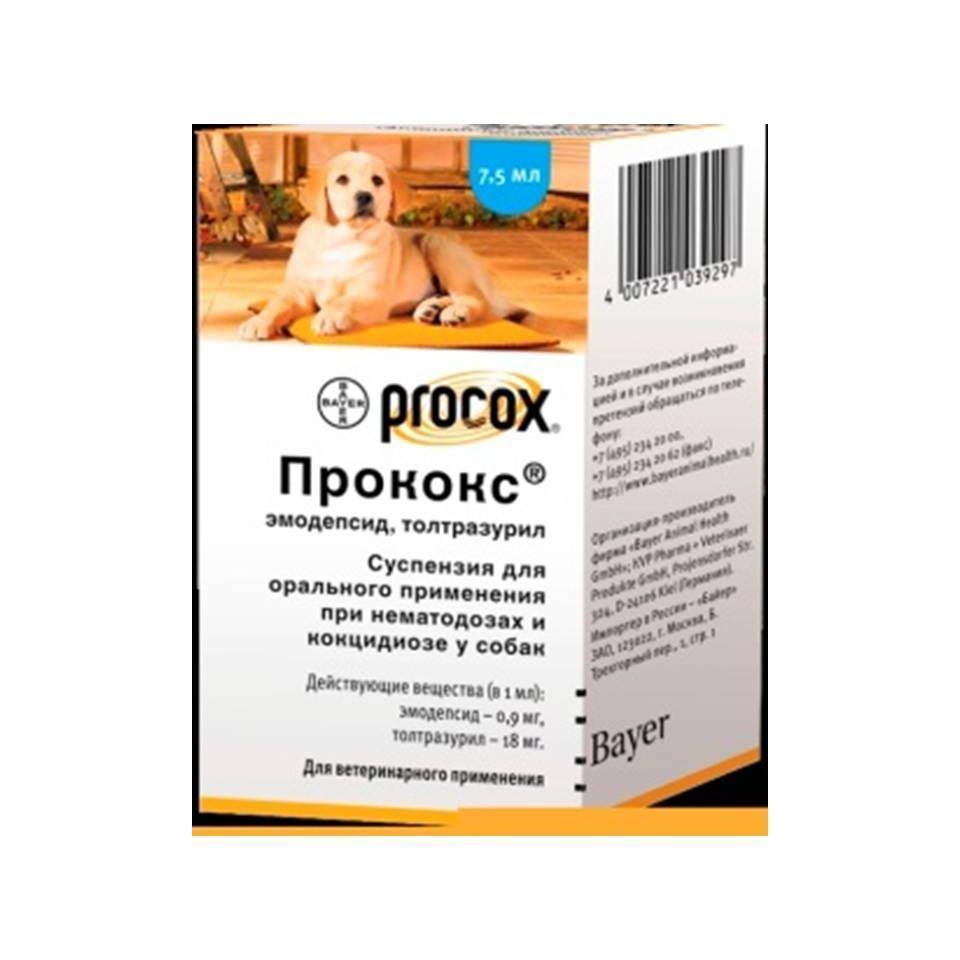 Прококс (суспензия) для собак и щенков | отзывы о применении препаратов для животных от ветеринаров и заводчиков