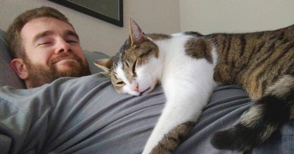 Почему кошки и коты спят в ногах у человека