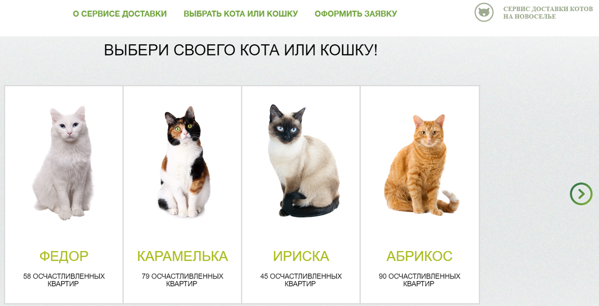 Кот или кошка: кого выбрать лучше для квартиры и детей — "лапы и хвост"
