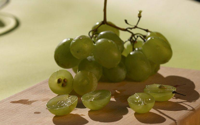 Можно ли хомякам виноград - наши меньшие друзья