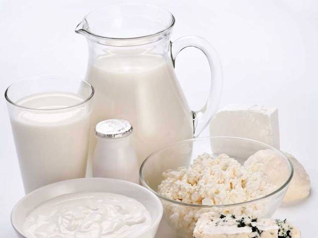 ᐉ можно ли хомякам молоко, творог, сметану и кефир (молочные продукты для джунгарских и сирийских пород) - zoopalitra-spb.ru