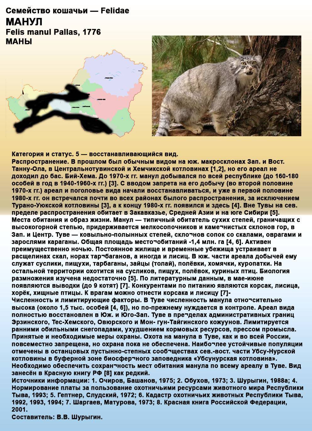 Ржавая кошка: описание внешности, характер, среда обитания и образ жизни, фото