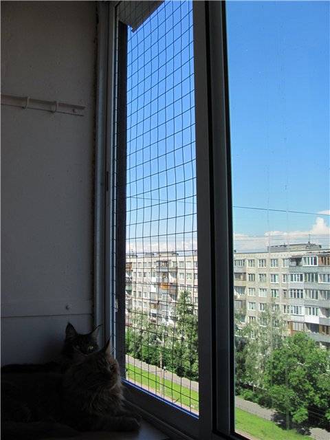 Решетки на окна от кошек или сетка антикошка. котоводство