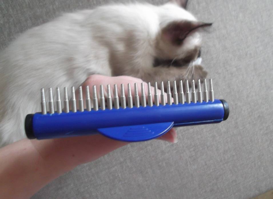 Фурминатор для кошек: расческа и чесалка для длинношерстных пород, как выбрать, как пользоваться и какая цена, а также как работает эта щетка