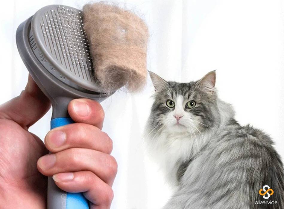 Очистить кошачью шерсть. Щётка для вычесывания кошек. Расчёска для вычёсывания шерсти у кошек. Расческа для длинношерстных кошек. Щетки для вычесывания шерсти у котиков.