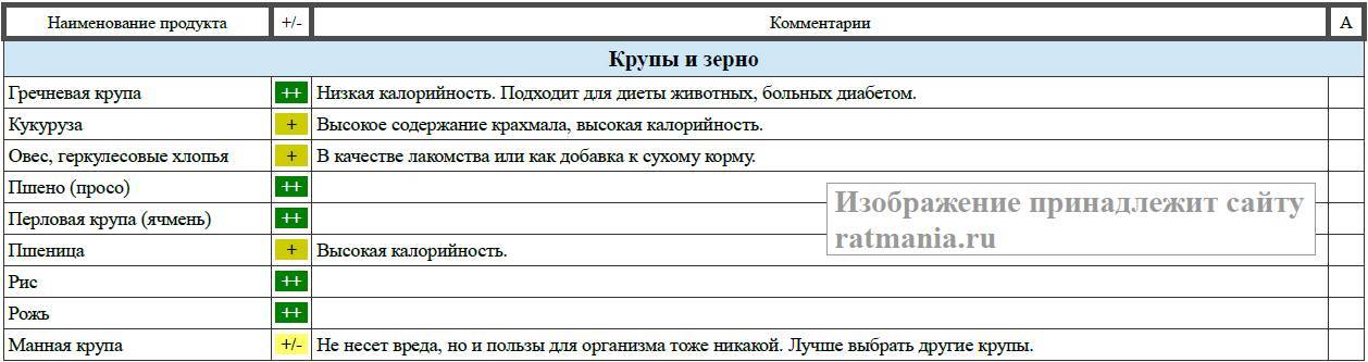 Что можно давать крысам, а что нельзя: таблица питания - kotiko.ru