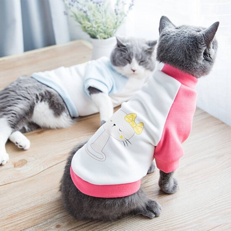 Одежда для любимых котов и кошек своими руками