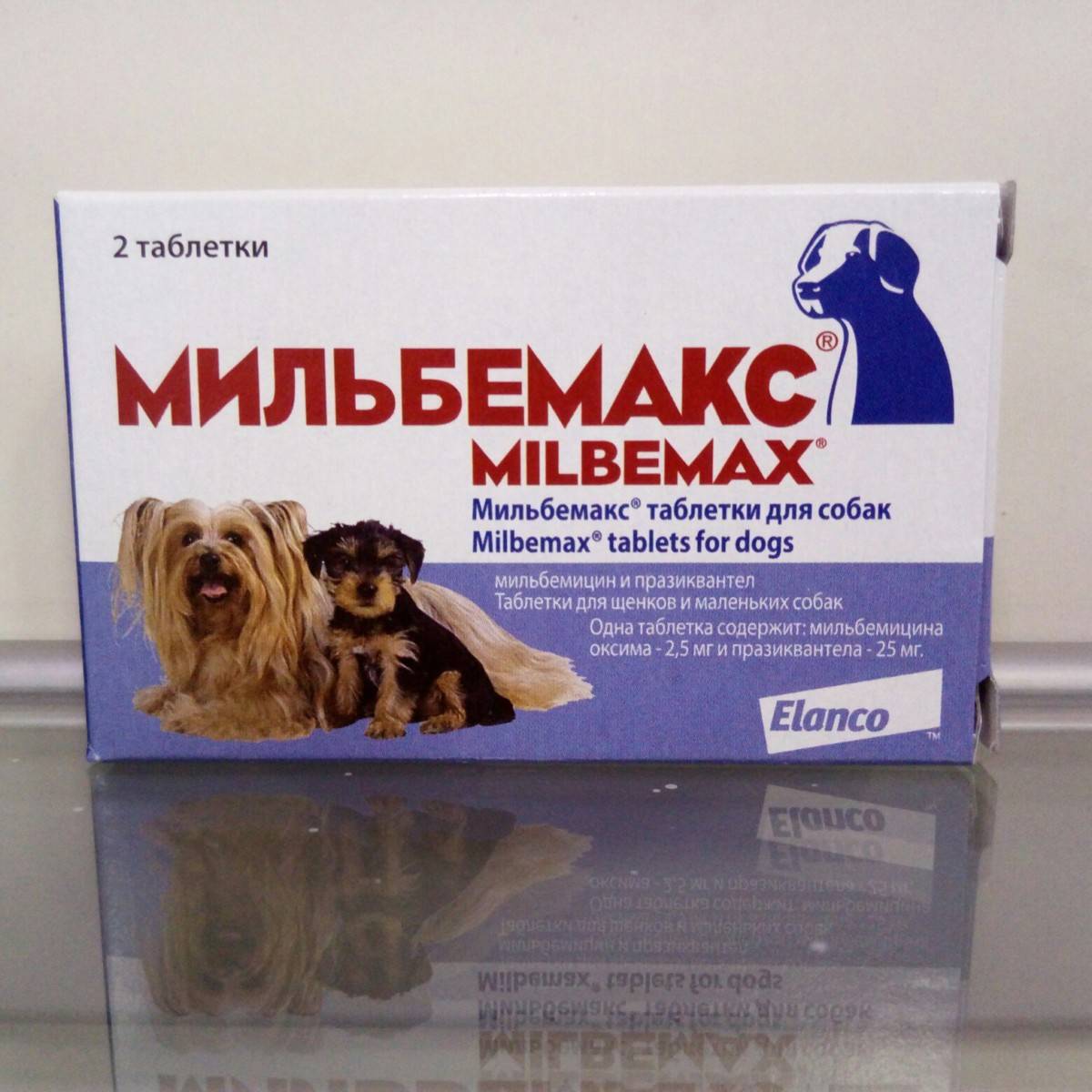 Мильбемакс для собак: инструкция по применению