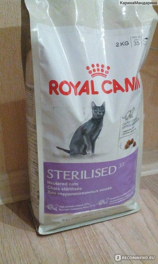 Корм для кошек роял канин (royal canin): отзывы, анализ состава